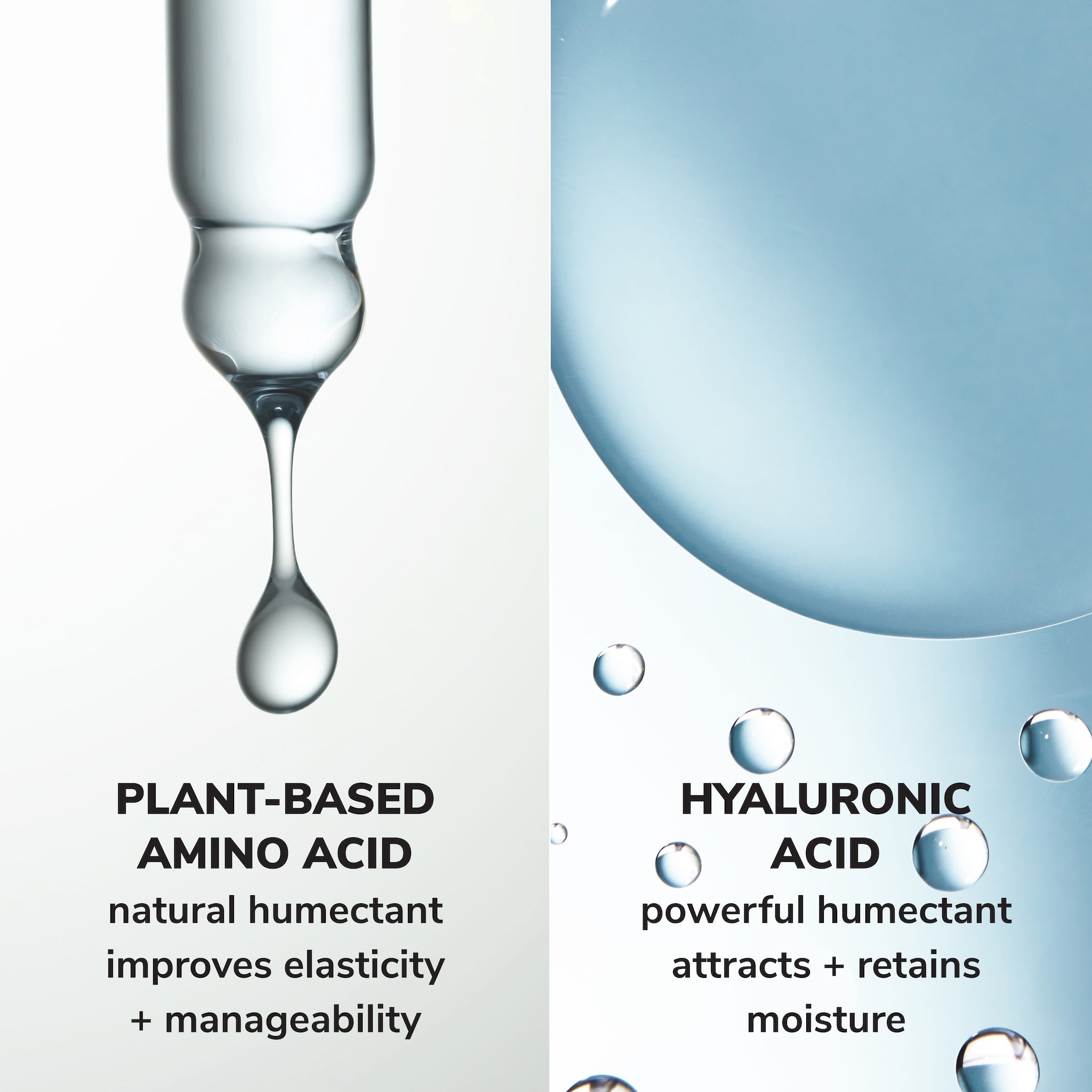 Money Laundering Hydrating Shampoo